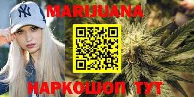 spice Моздок