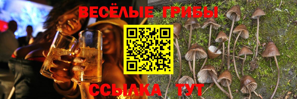 Геленджик  Псилоцибиновые грибы ЛСД  Вход с VPN  Галлюциногенные грибы Cubensis 